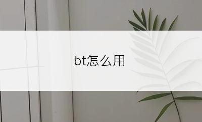 bt怎么用