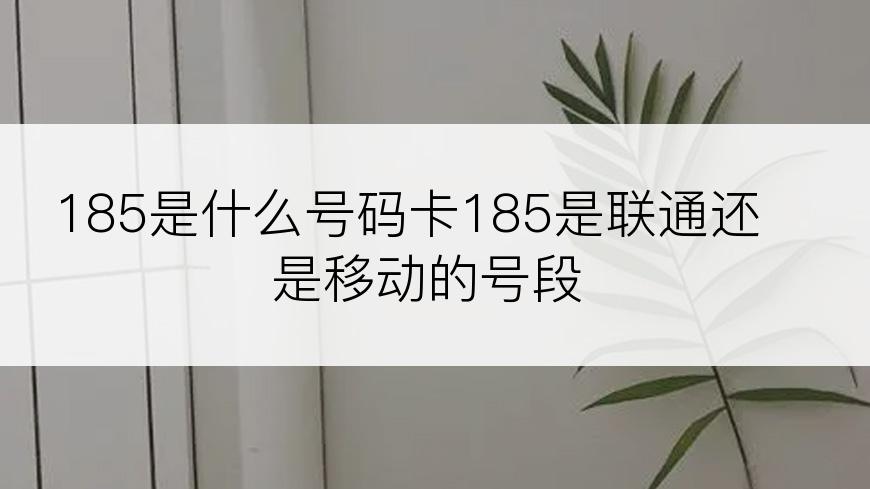 185是什么号码卡185是联通还是移动的号段