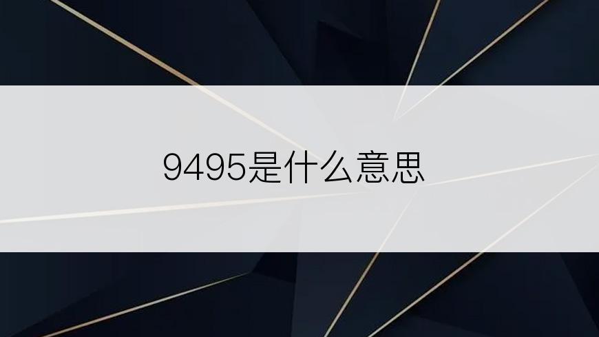 9495是什么意思