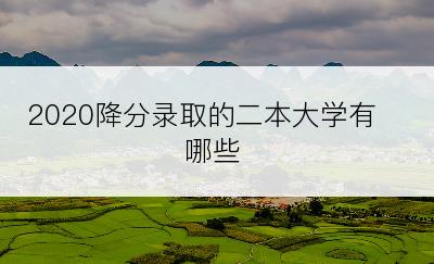 2020降分录取的二本大学有哪些