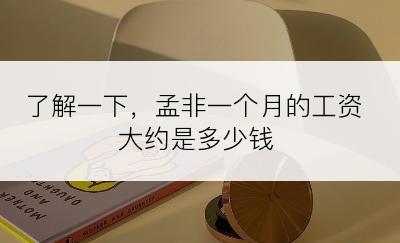 了解一下，孟非一个月的工资大约是多少钱