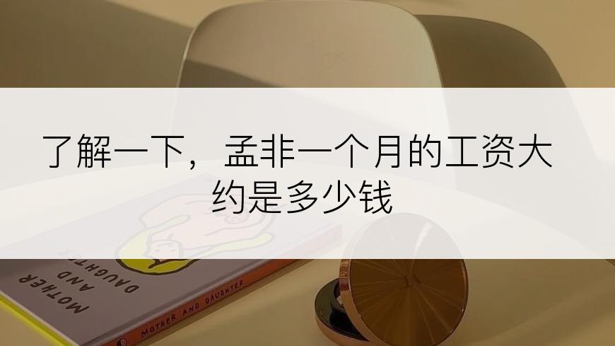 了解一下，孟非一个月的工资大约是多少钱