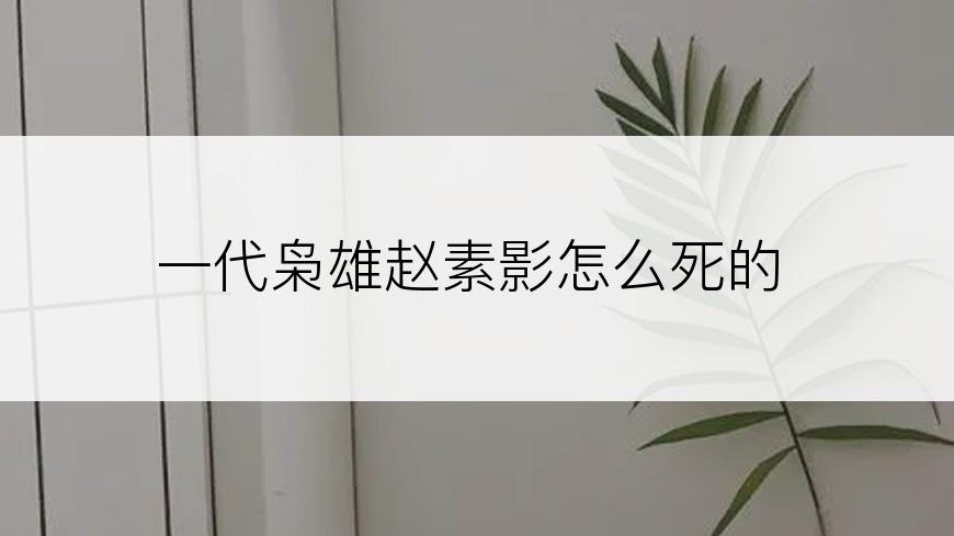 一代枭雄赵素影怎么死的