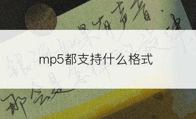 mp5都支持什么格式