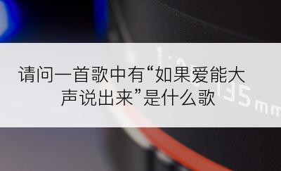 请问一首歌中有“如果爱能大声说出来”是什么歌