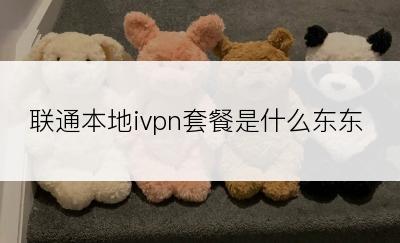 联通本地ivpn套餐是什么东东