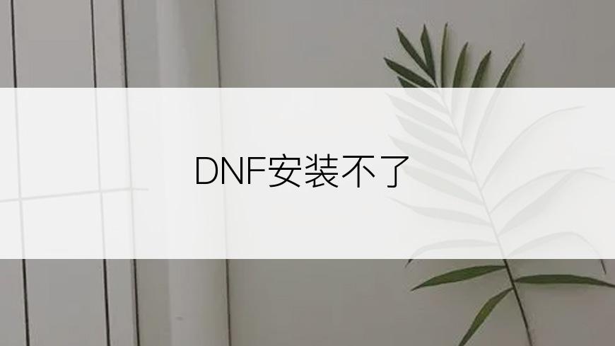 DNF安装不了