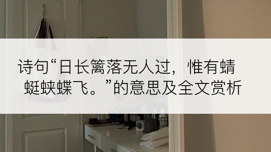 诗句“日长篱落无人过，惟有蜻蜓蛱蝶飞。”的意思及全文赏析