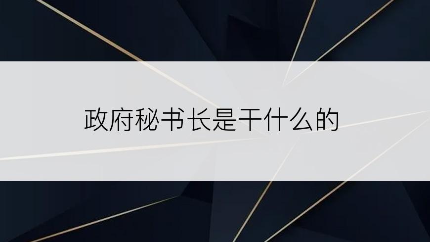 政府秘书长是干什么的