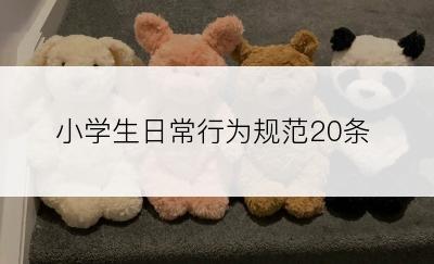 小学生日常行为规范20条