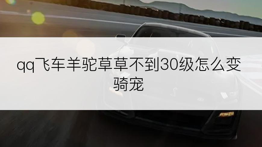 qq飞车羊驼草草不到30级怎么变骑宠