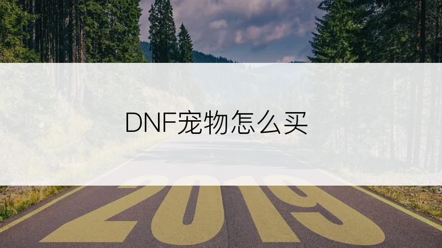 DNF宠物怎么买