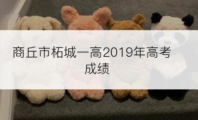 商丘市柘城一高2019年高考成绩