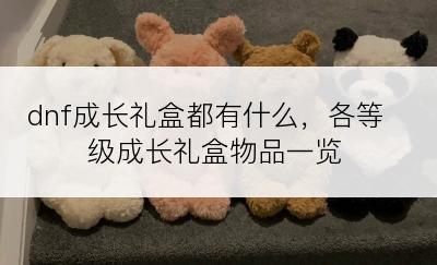 dnf成长礼盒都有什么，各等级成长礼盒物品一览