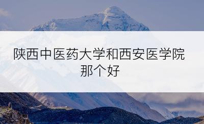 陕西中医药大学和西安医学院那个好