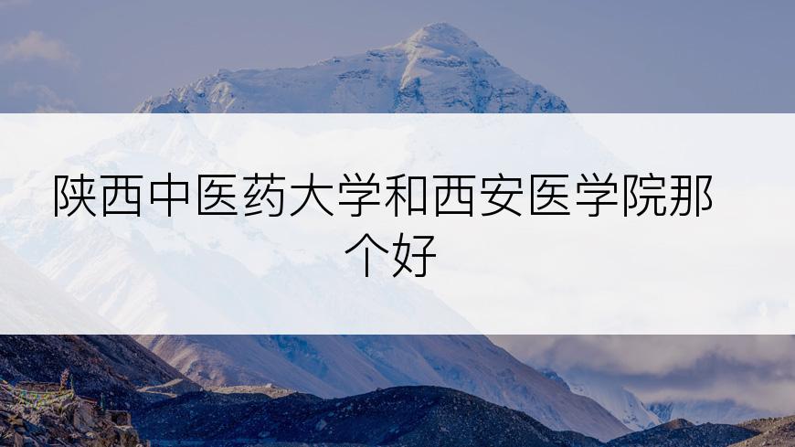 陕西中医药大学和西安医学院那个好