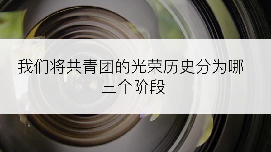 我们将共青团的光荣历史分为哪三个阶段