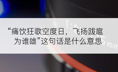 “痛饮狂歌空度日，飞扬跋扈为谁雄”这句话是什么意思