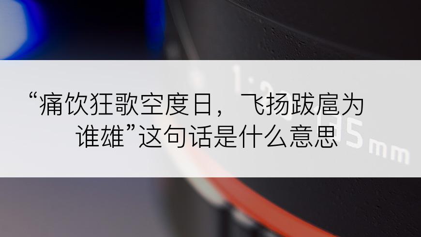 “痛饮狂歌空度日，飞扬跋扈为谁雄”这句话是什么意思