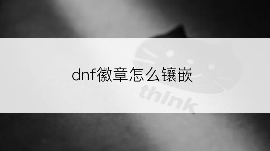 dnf徽章怎么镶嵌