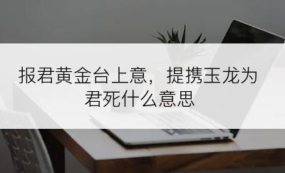 报君黄金台上意，提携玉龙为君死什么意思