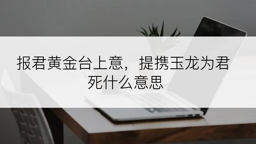 报君黄金台上意，提携玉龙为君死什么意思