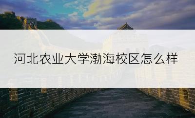 河北农业大学渤海校区怎么样