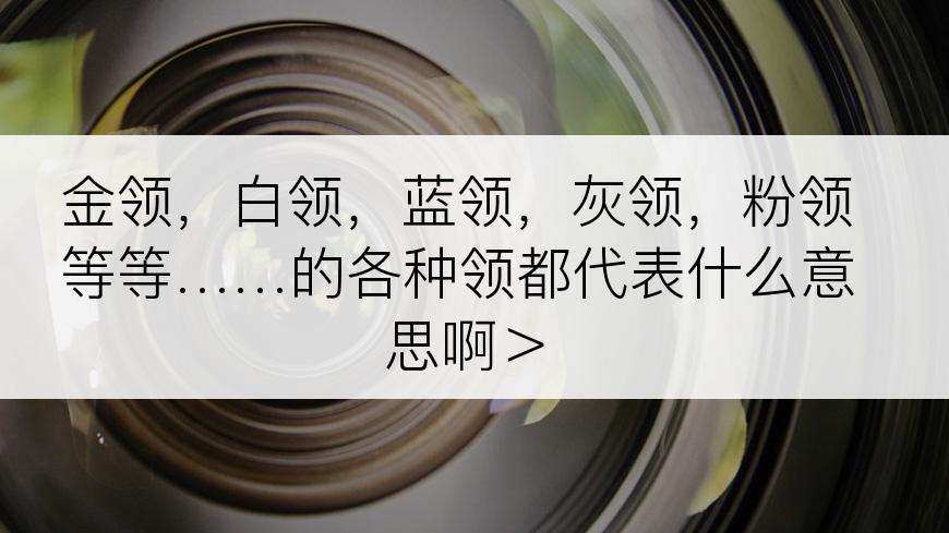 金领，白领，蓝领，灰领，粉领等等……的各种领都代表什么意思啊＞