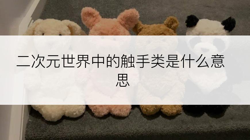 二次元世界中的触手类是什么意思