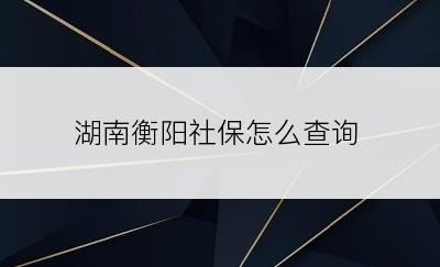 湖南衡阳社保怎么查询