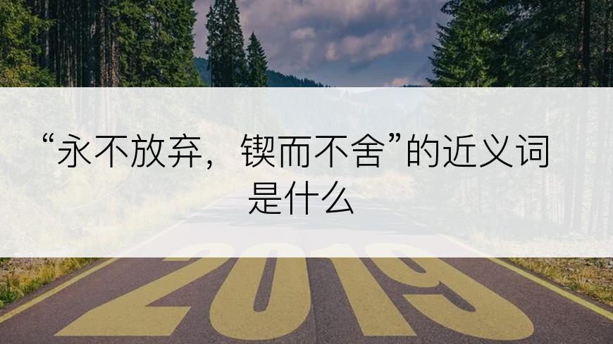 “永不放弃，锲而不舍”的近义词是什么