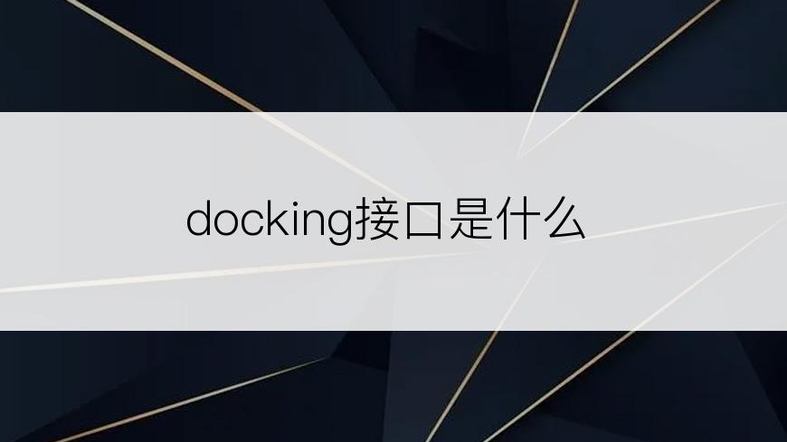 docking接口是什么