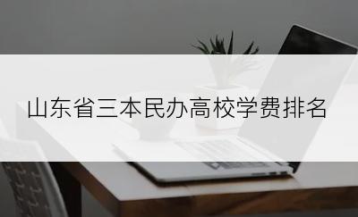 山东省三本民办高校学费排名