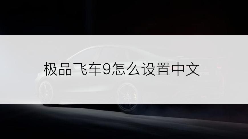 极品飞车9怎么设置中文