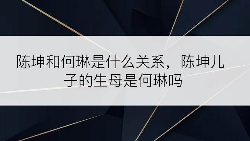 陈坤和何琳是什么关系，陈坤儿子的生母是何琳吗