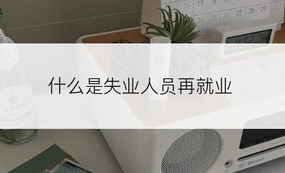 什么是失业人员再就业