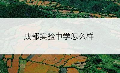 成都实验中学怎么样