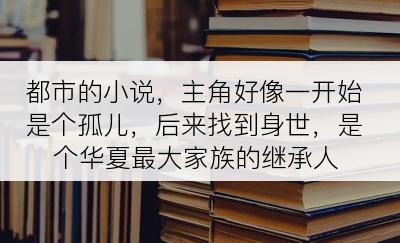 都市的小说，主角好像一开始是个孤儿，后来找到身世，是个华夏最大家族的继承人