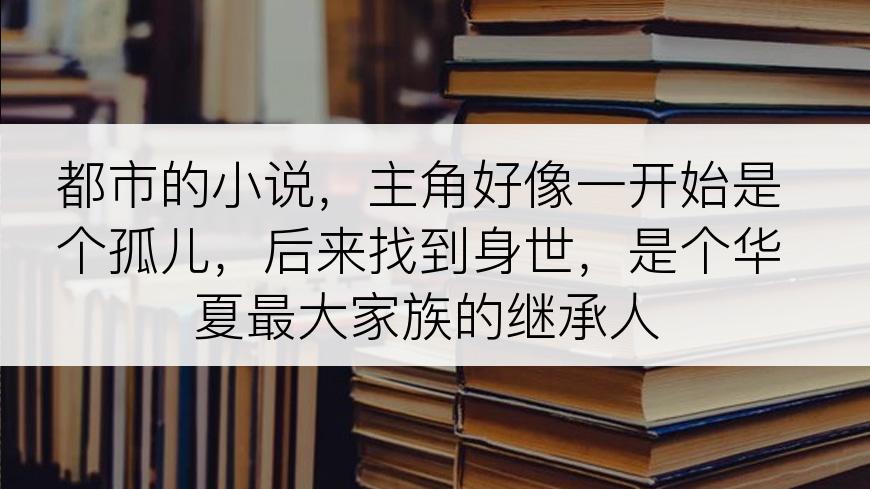 都市的小说，主角好像一开始是个孤儿，后来找到身世，是个华夏最大家族的继承人