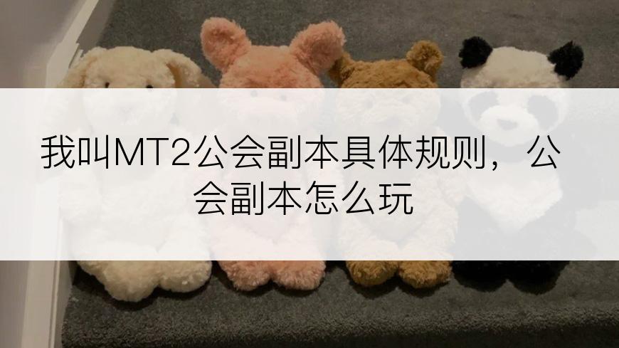 我叫MT2公会副本具体规则，公会副本怎么玩