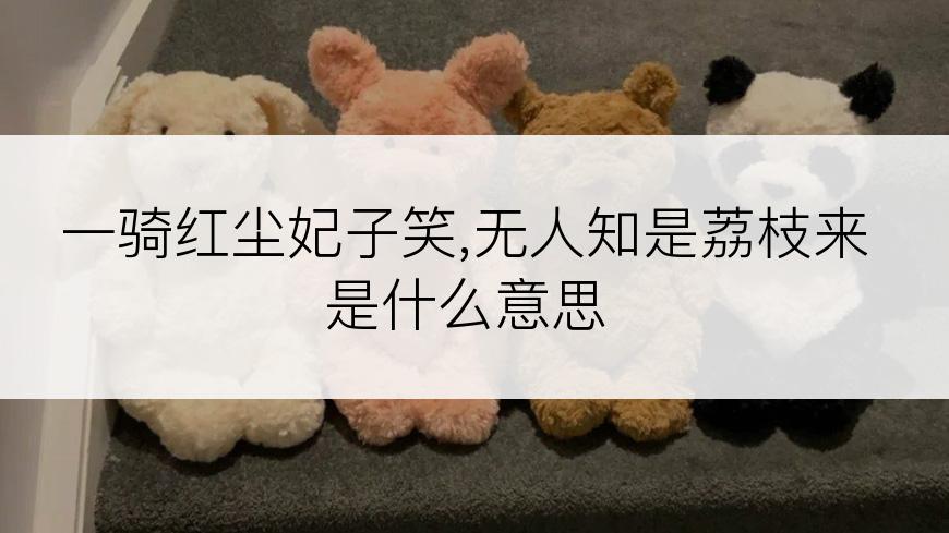 一骑红尘妃子笑,无人知是荔枝来是什么意思