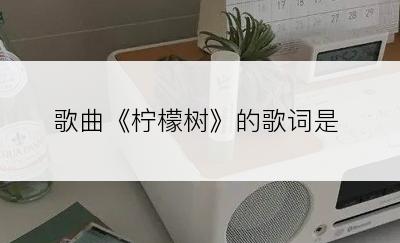 歌曲《柠檬树》的歌词是