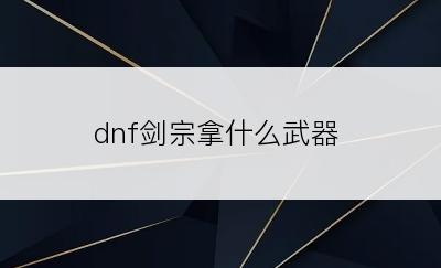 dnf剑宗拿什么武器