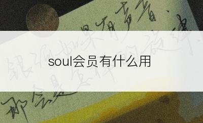 soul会员有什么用