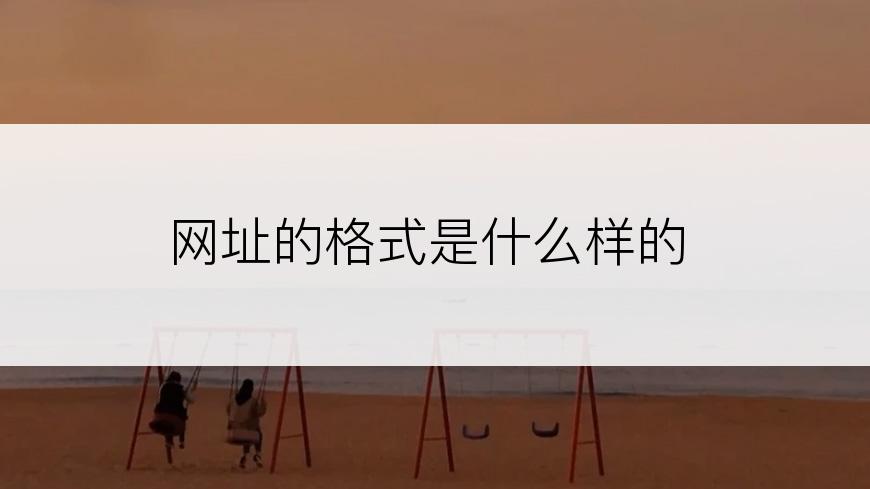 网址的格式是什么样的