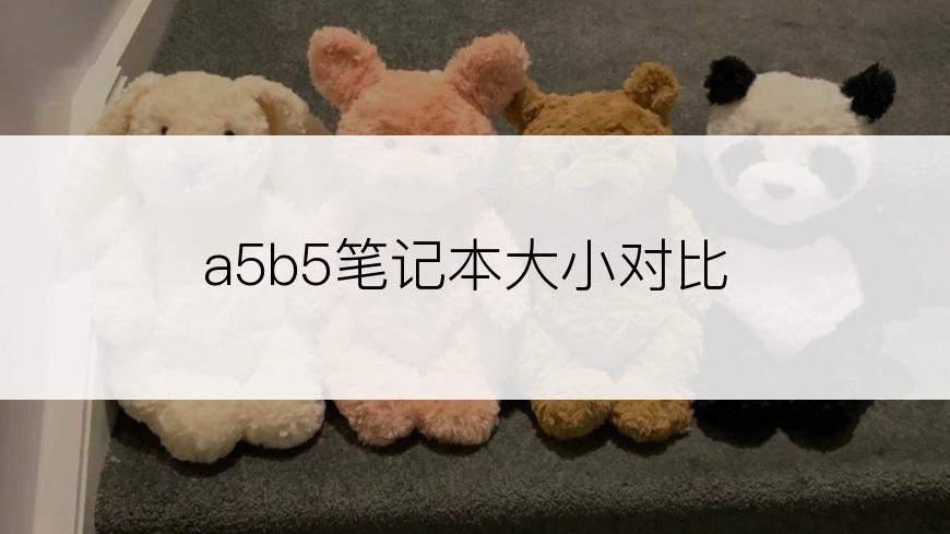 a5b5笔记本大小对比