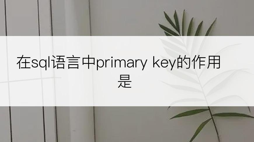 在sql语言中primary key的作用是