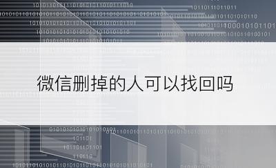 微信删掉的人可以找回吗