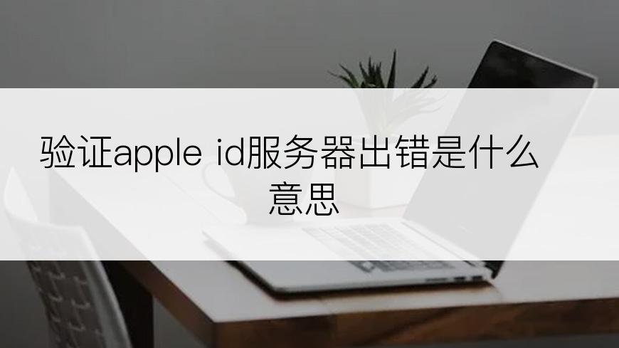 验证apple id服务器出错是什么意思