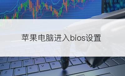 苹果电脑进入bios设置